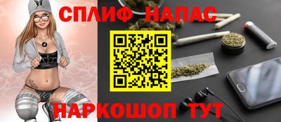 крисы Нальчик