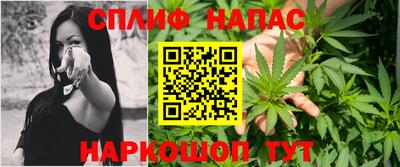 крисы Нальчик