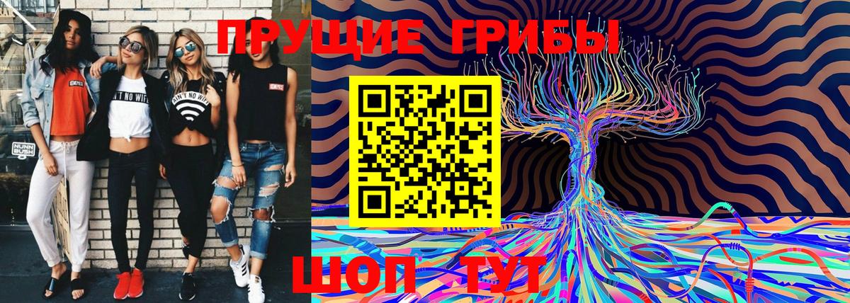 Галлюциногенные грибы GOLDEN TEACHER  Вход с VPN  закладки  Галлюциногенные грибы Magic Shrooms  Чита 